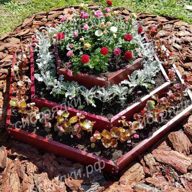 Клумба "Альпийская горка" в Иркутске Клумба "Альпийская горка" в Иркутске