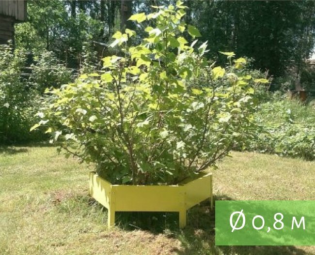 Клумба "Сота" 400 в Иркутске Клумба "Сота" 400 в Иркутске