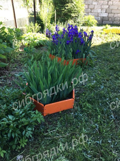Клумба "Сота" 400 в Иркутске Клумба "Сота" 400 в Иркутске