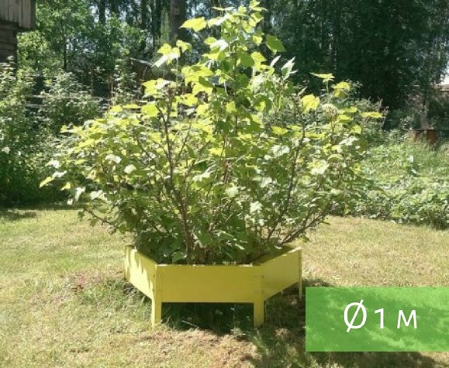 Клумба "Сота" 500 в Иркутске Клумба "Сота" 500 в Иркутске